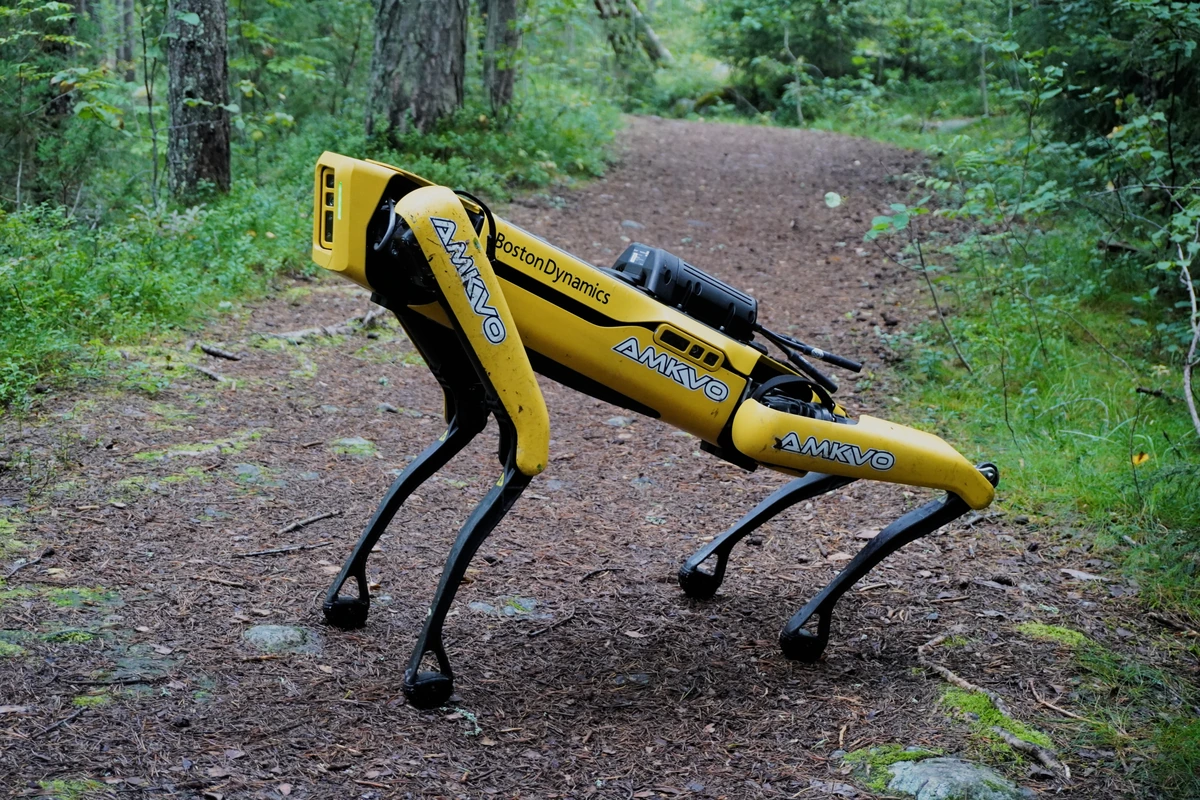 Boston Dynamics Spot quadruped robot standing on a woodland path.
